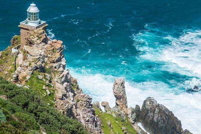 Shared Half Day Tour in Cape Peninsula With African Penguins - Traveler Reviews and Ratings