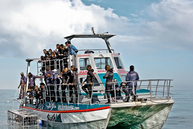 Shark Cage Diving and Viewing With Transport From Hermanus - Cancellation and Booking Policies