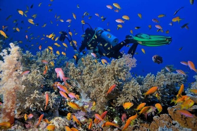 Sharm El Sheikh: Ras Mohammed and White Island VIP Boat Sea Trip - Booking Information