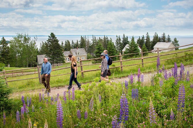Shore Excursion of the Highland Village Museum in Cape Breton - Booking and Cancellation Policy
