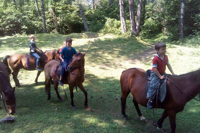 Short Horseback Riding - Kolasin - Lunch and Hiking