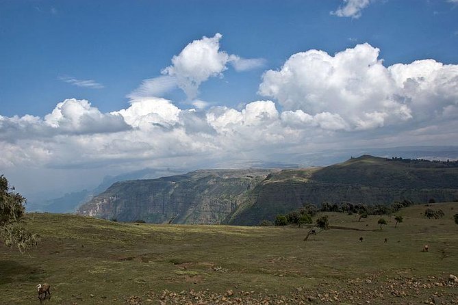 Simien Mountains – 4 Days - Booking Information