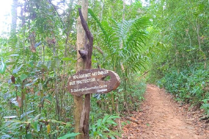 Sinharaja Rainforest Private Tour - Tips for Your Visit