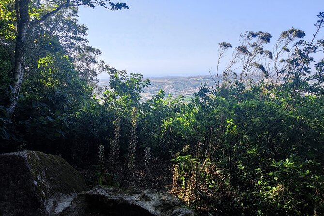 Sintra Private Hiking Adventure Tour - Tips for Your Hiking Adventure