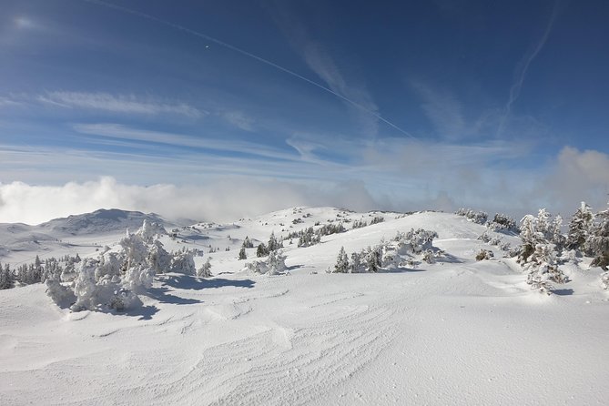 Skiing at Sarajevo Olympic Mountains – Full Day Tour From Sarajevo - Small Group Setting