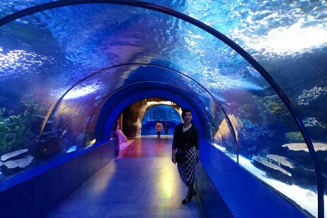 Skip the Line: Antalya Aquarium Ticket - Exploring the Aquarium
