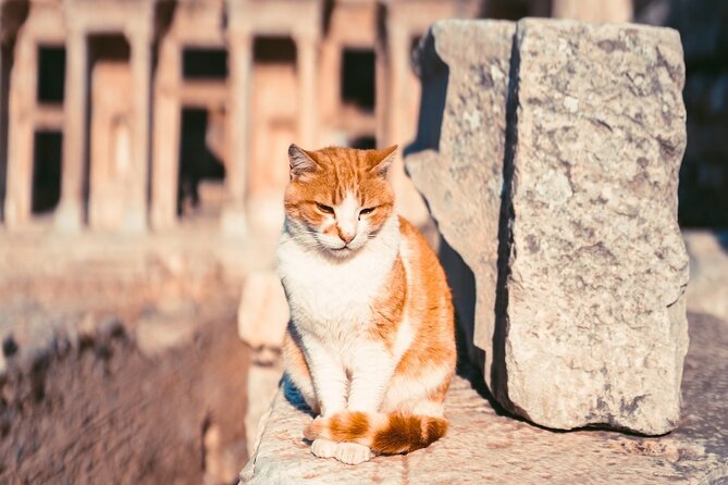 Skip the Line: Ephesus TOUR For Cruise Guests - Small Group - Personalized Small Group Experience