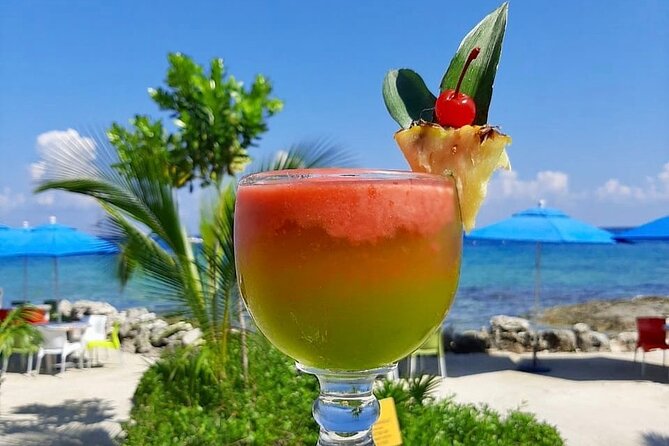 SkyReef Cozumel Snorkel & Tequila Tasting - Preparing for the Tour
