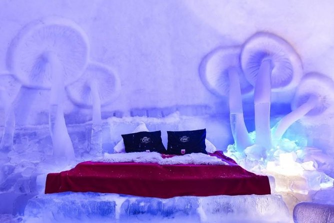 Sleep in the ICE HOTEL at Balea Lake - Guest Experiences and Reviews
