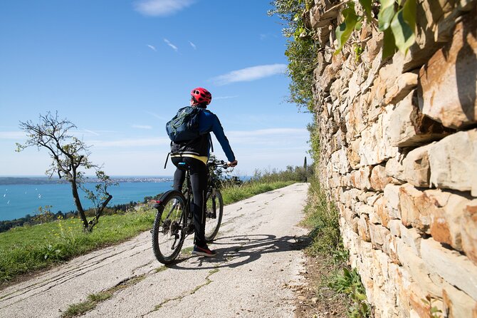Slovenian Coast Koper, Izola, Piran - Parenzana Electric Biking Tour From Koper - Reviews and Feedback