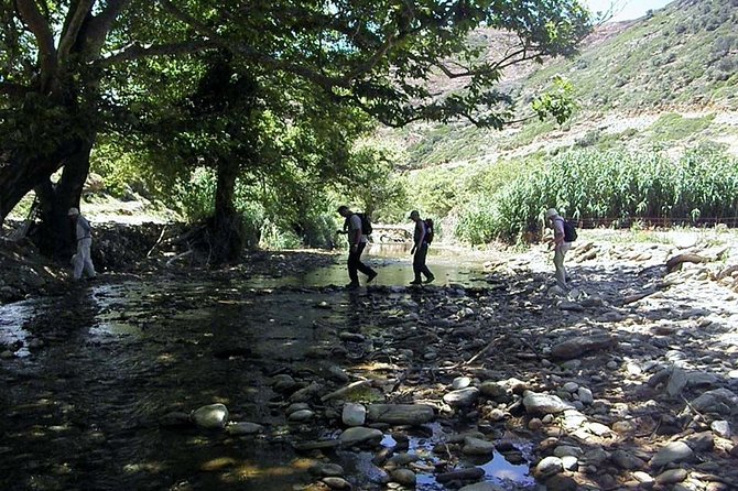 Small-Group Guided Hiking Tour in Andros With Picnic on the Beach - Limited Participants for Intimacy