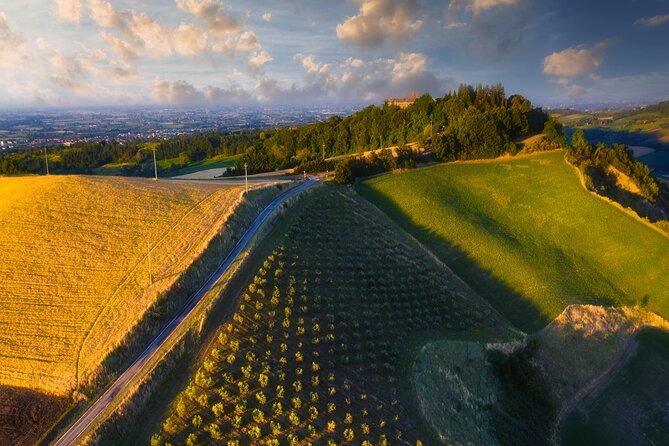 Small-Group Half-Day Wine Tour With Tasting in Dozza Village - Transportation and Accessibility