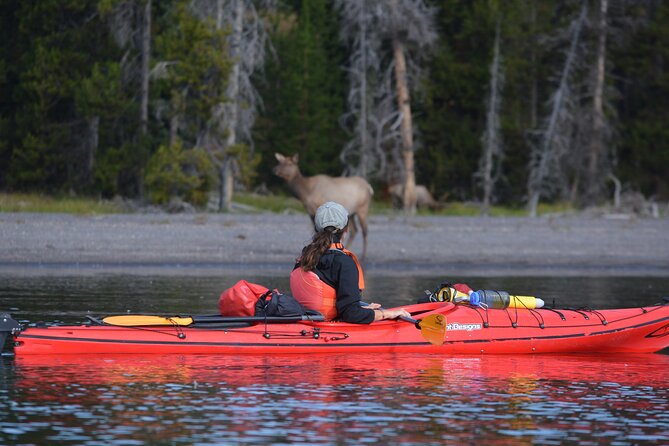 Small-Group Sunset Kayaking Tour on Lake Yellowstone - Booking and Cancellation