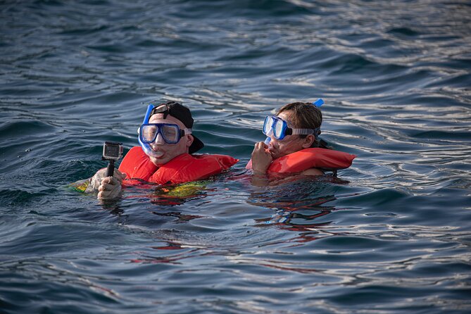 Snorkel, Lunch & Sail in Cabo San Lucas - Additional Requirements