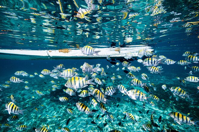 Snorkeling, Parasail and Jet Ski - Meeting and Pickup Details
