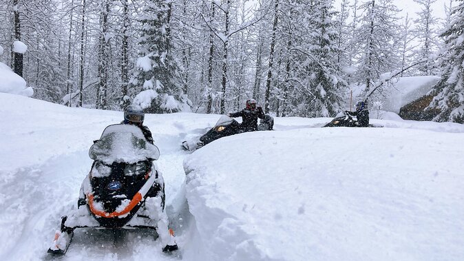 Snowmobile Classic Tour in Kenai Fjords National Park - Getting to the Meeting Point
