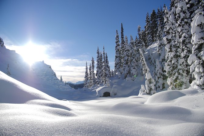 Snowshoe Tours - About the Experience