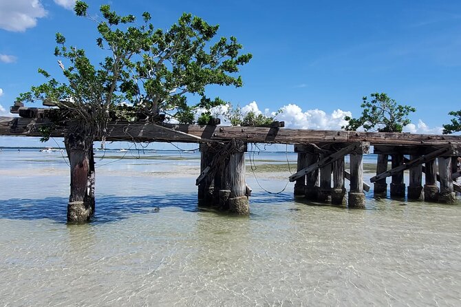 Sonnys Boat Tours Full Day Sand Bar Adventure Englewood, Florida - Customer Reviews and Feedback