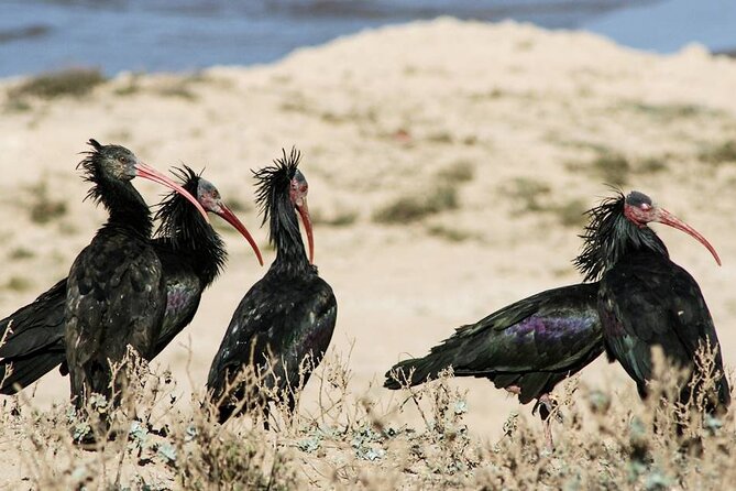 Souss Massa National Park Half Day Trip From Agadir - Exploring Youssef Bin Tachfine Reservoir