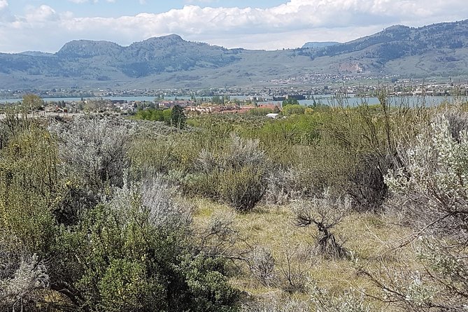 South Okanagan Desert Tour - Birdwatching at Vaseux Lake Provincial Park