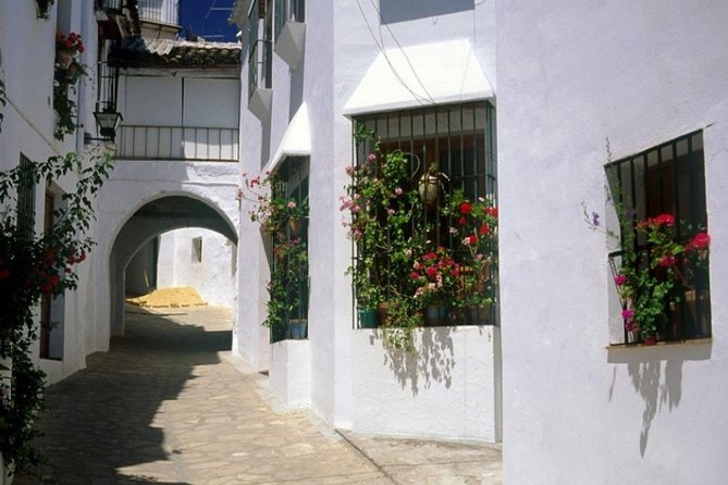 Spend a Day in the White Villages From Cadiz - Customer Reviews