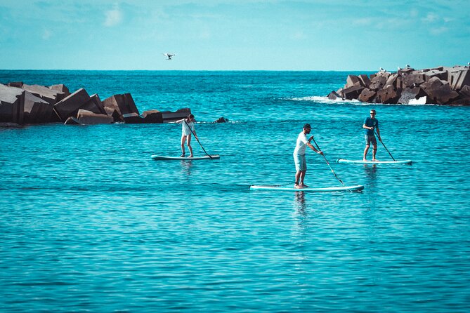 Stand Up Paddle Private Lesson in Calheta Beach - Explore Calheta Beach