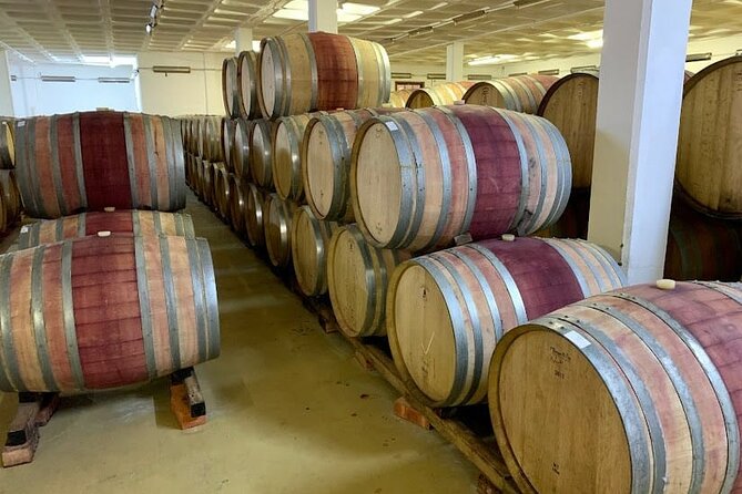 Stellenbosch & Franschhoek Wine Tasting Tour From Cape Town - Traveler Feedback