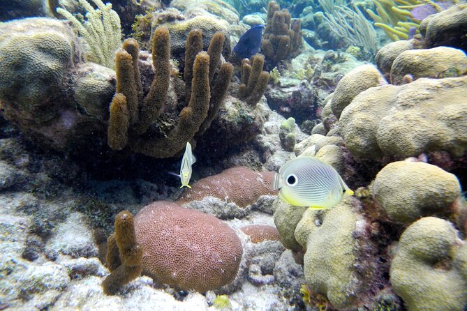 Stingray City Private Charters - Booking Information