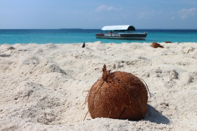 Stone Town and Prison Island Tour (Full Day) - Meeting and Pickup Logistics