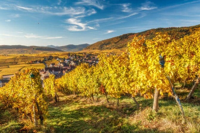 Strasbourg, Colmar, Eguisheim, Riquewihr: Private Excursion - Cancellation Policy and Support