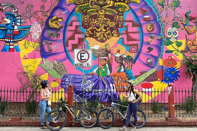 Street Art Bike Ride - Focus of the Tour Experience