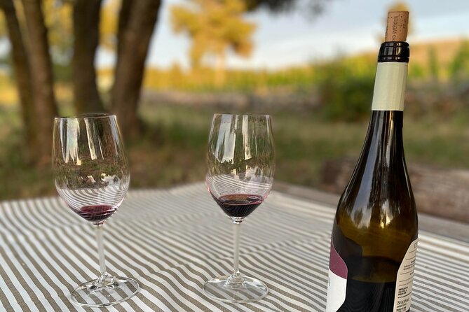 Sunset Among Vineyards With Tasting in Alicante (Min 6-12 People) - Sum Up