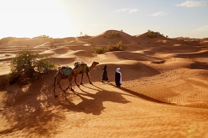 Sunset Dubai Desert Safari With BBQ & Entertainment - Booking and Pricing