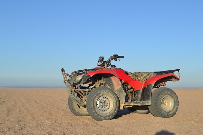 Super ATV Quad Bike Safari & Camel Ride With Transfer - Hurghada - Guest Feedback and Reviews
