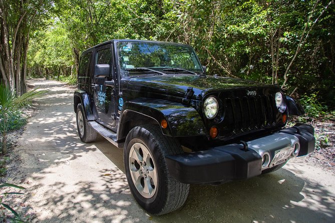 Super Cozumel Combo Snorkel by Boat and Jeep Exploration (Private) - Requirements