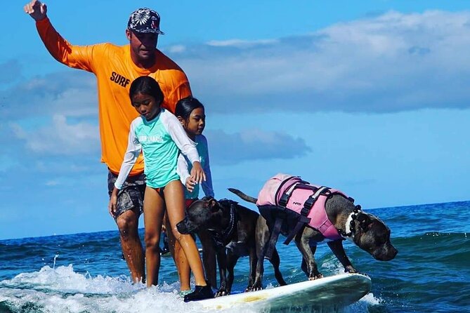 Surf With a Service Animal - Customer Reviews and Testimonials