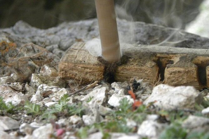 Survival and Bushcraft Courses - Product Code and Terms
