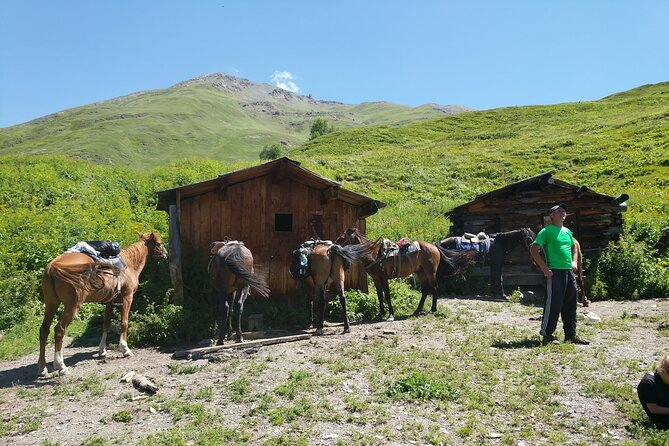 Svaneti Mountain Villages 4x4 Safari, Tour From Kutaisi - Tour Highlights and Itinerary