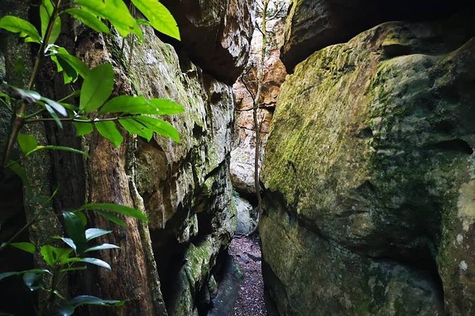 Table Mountain: Tranquility Cracks Full Day Hike - Pricing and Booking Information