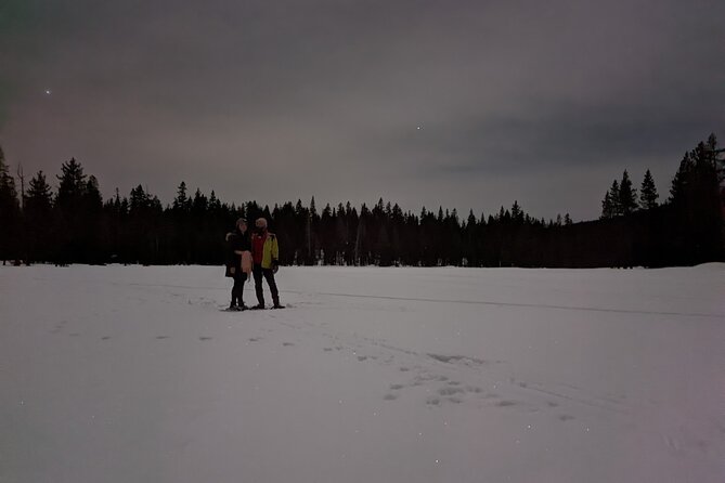 Tahoe National Forest Moonlight Snowshoe Tour Under a Starry Sky - Combining Stargazing and Ecological Insights