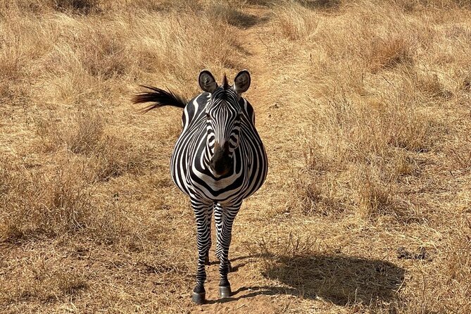 Tarangire, Serengeti, Ngorongoro Group Tour (4 Days) - Booking and Cancellation Policy