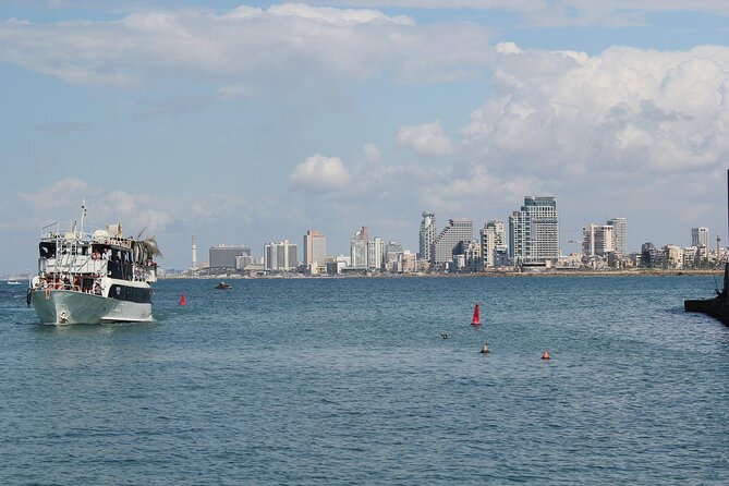 Tel Aviv, Yaffo and Tel Aviv Skyline Tour - Tour Guide Credentials