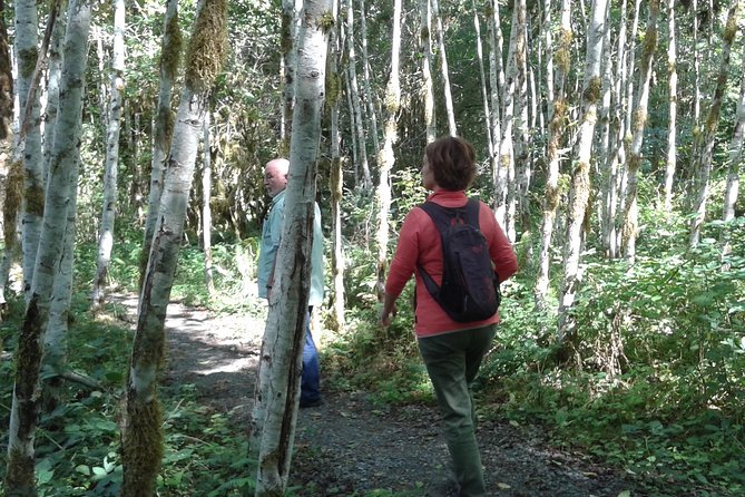 Temperate Rainforest Olympic Mountains - Preparing for the Adventure Ahead