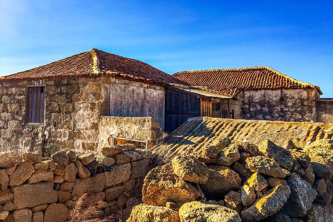 Tenerife South Private Tour: Secrets of the Volcanoes - Traveler Reviews and Ratings
