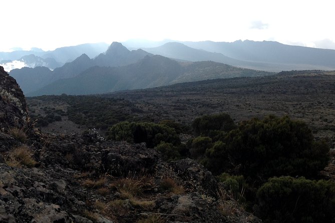 The Best 6-Days Kilimanjaro Hiking (Machame Route)Whiskey Route - Customer Reviews and Feedback