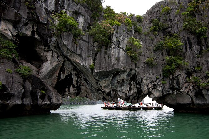 The Best Halong Bay Tours, Junk Boats & Activities 1 Day - Pricing and Cancellation Policy
