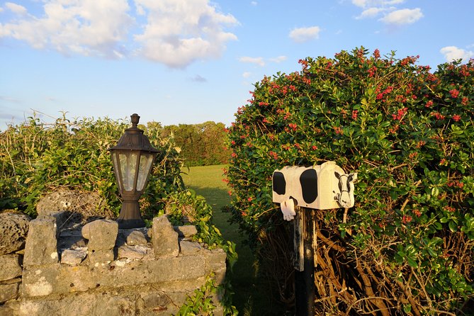 The Burren and Cliffs of Moher Full Day Private Tour From Galway - Reviews
