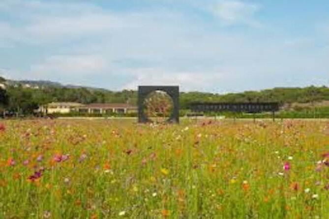 The "Clos Des Roses" Wine Tasting & Lunch - Logistics and Booking Information