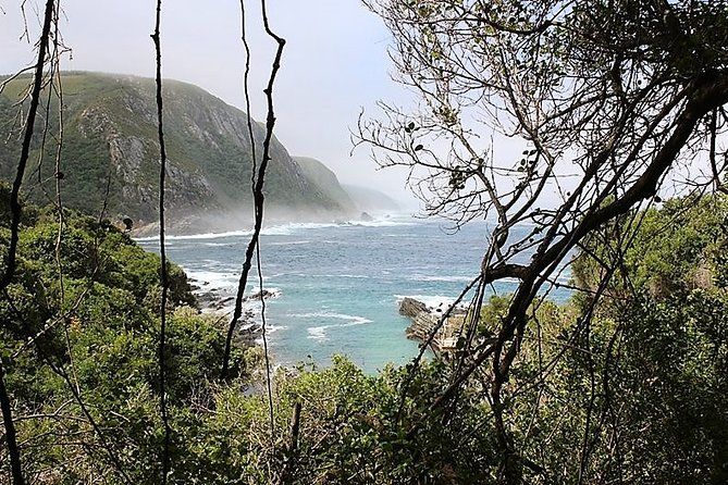 The Garden Route From Port Elizabeth to the Crags - FD07 - What to Expect