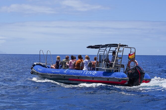 The Giants Masca Teno Boat Route Snorkeling and Drinks - Booking and Transportation Details